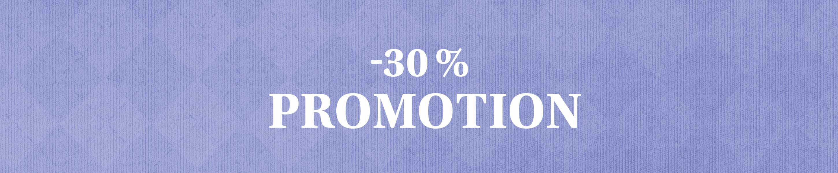 30% Sale Promotion